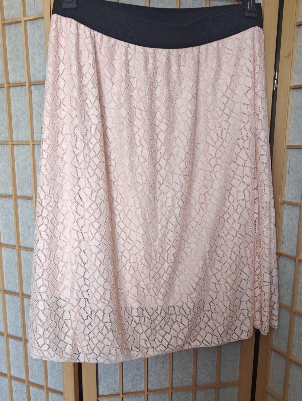 Feminine Blush Lace A-Line Skirt with Contrast Waistband